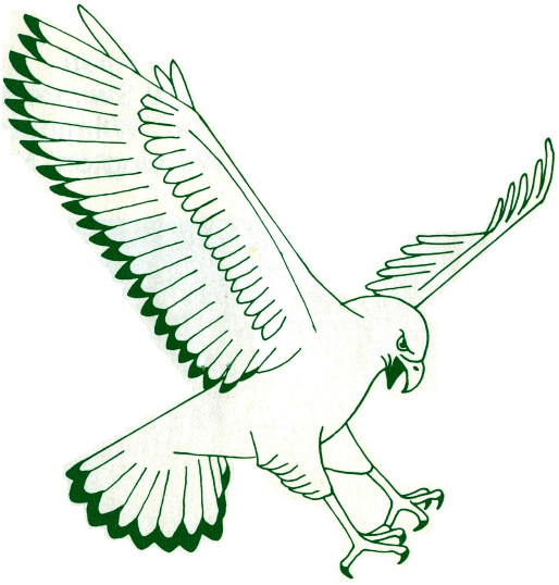 NC-Wilmington Seahawks 1977-1985 Primary Logo iron on transfers for fabric